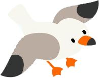 Curso Verano Montessori Coacalco 2024 Gaviota